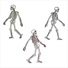 Cartoon Skeletons Walking: Three Variations,  Line Art and Color,  Humorous and Quirky Style.