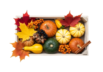 Colorful autumn harvest display in a wooden crate, featuring pumpkins, gourds, maple leaves, berries, and nuts, set against a black backdrop.