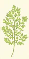 Fototapeta premium Vintage Line Art of Wild Carrot: Herbaceous Plant with Alternate Green Leaves