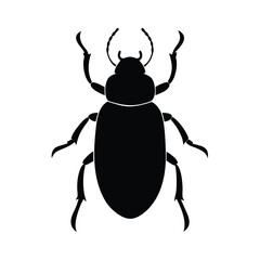 insect, bug, beetle, butterfly, moth, fly, silhouette, antenna, wings, tiny, crawl, creepy, crawlies,