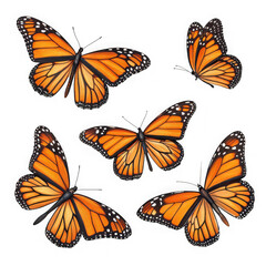 Five monarch butterflies isolated on transparent background