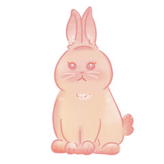 Cute Rabbit Cartoon Illustration