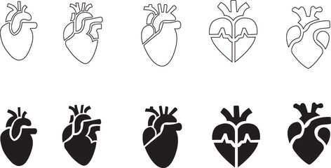 Anatomical Heart Icon set,Human Heart,Cardiac Muscle Line and Silhouette Color Icon Set. Medical Cardiology Pictogram.Collection on White Background.Real human heart organ icon.