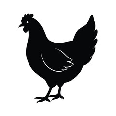 hen, chicken, poultry, bird, farm, egglayer, domestic, clucking, feathered, coop, livestock, barnyard, laying