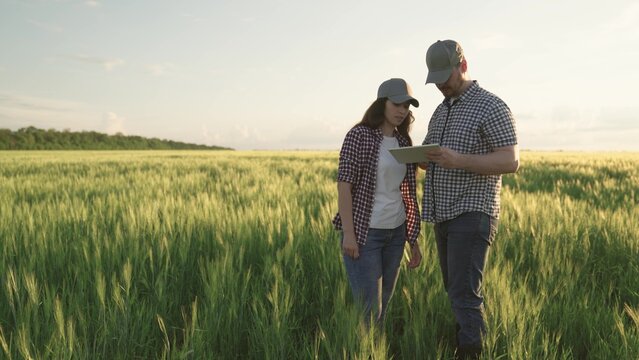 farmers shake hands on field with wheat, teamwork in agriculture, business for production of grain products, meeting of agronomists plantations land, looking into tablet while standing soil with rye. - Powered by Adobe
