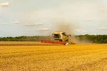 Naklejka premium Harvesting wheat in a golden field under a clear sky during late afternoon