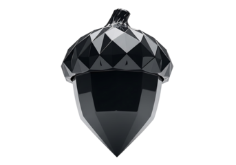 A polished, black, geometric acorn design against a striking black background.