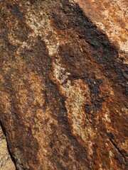 Texture, background of sandstone in brown shades 