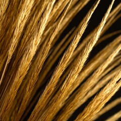 Close-up of dried golden grass stalks