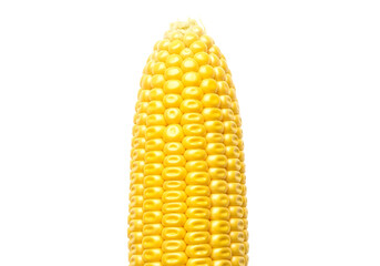 Close-up view of a vibrant yellow corn cob, showcasing its detailed texture and rich color against a stark black background.