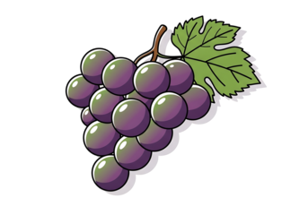 A cartoon-style illustration depicts a bunch of dark purple grapes with a green leaf, set against a bold black backdrop.