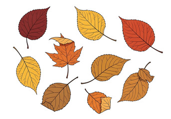 Obraz premium A collection of autumn leaves in various shades of red, orange, and yellow, displayed against a striking black background.