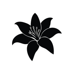 lily, flower, bloom, petals, nature, garden, fragrant, blossom, botanical, floral, elegant, ornamental,