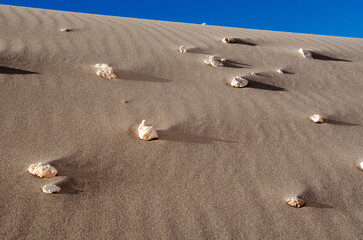 Abstract close-up of white salt crystal formations emerging from the fine, windswept texture of a...