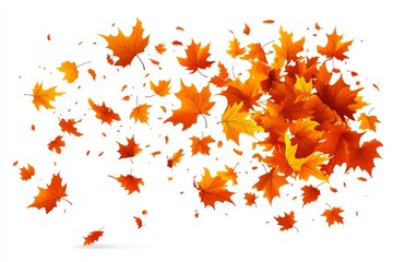 Isolated colorful leaves on a white background, with falling autumn foliage, stock technology