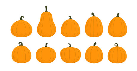 Pumpkin set for and Thanksgiving day. Textured pumpkins of different shapes isolated on white background. Vector illustration.