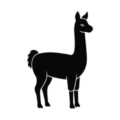 Fototapeta premium llama, camelid, animal, livestock, farm, wool, grazing, Andes, South-America, domesticated, pack-animal, silhouette