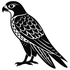 falcon silhouette vector art design