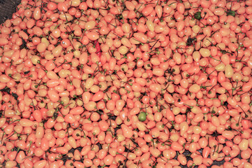 PIMENTAS BODE AMARELA