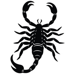 scorpion silhouette vector art design