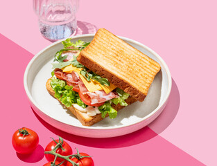 Club sandwich of toast bread with bacon, cheese, tomatoes, lettuce, arugula and sauce in a plate