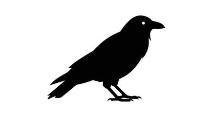 Standing Raven Bird Vector Illustration Black Silhouette Against White Background Simple Design for Graphic Projects and Halloween Decorations silhouette