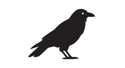 Elegant Raven Illustration in Black Silhouette Style on White Background silhouette