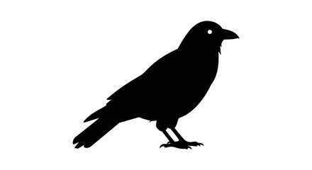 Black Crow Standing Profile View Isolated on White Background in Silhouette Style silhouette