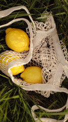 lemons on the green background