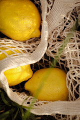 lemons on the green background