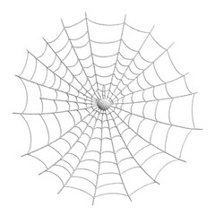 Obraz premium Spider Web Isolated on Black Background for Halloween Design