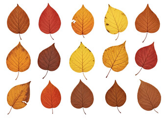 Obraz premium A graphic design featuring a repeating pattern of autumn leaves in various shades of orange, red, and yellow against a black background.