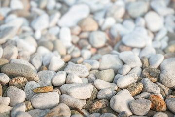 Beautiful pebbles on a rocky beach close-up
