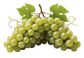 A cluster of vibrant green grapes, showcased against a stark black background, exudes freshness and healthy appeal.