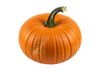 A vibrant, round pumpkin, with a rich orange hue and subtle, natural imperfections, is featured against a pure black background.