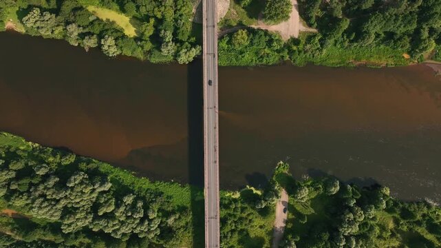 A drone captures a steady aerial view of a forest in Belarus, featuring a curving road, a parallel river, and scattered buildings near the forest edge.