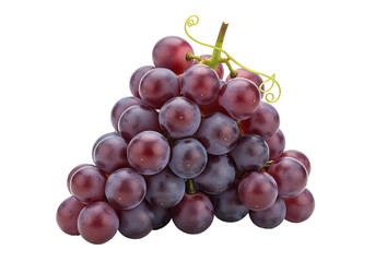 A close-up view of a cluster of plump, deep-purple grapes, showcasing their vibrant color and detailed texture against a striking black background.