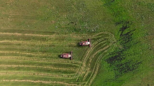 Two red harvesters move in parallel paths, cutting grass in a green field. The aerial view shows distinct tracks and contrasts between cut and uncut areas.