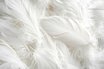 Fototapeta premium Soft white feathers arranged delicately on a light background, showcasing intricate textures and natural beauty, perfect for design and artistic projects with a serene atmosphere