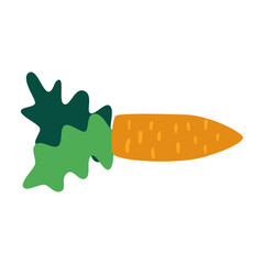 Vibrant and Wholesome Carrot Illustration for Healthy Eating and Nutrition Concepts