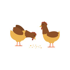 A pair of delightful farm chickens illustrated in a charming, simple style, enjoying their meal