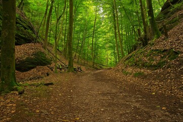 Landgrafenschlucht gorge near Eisenach in Thuringia