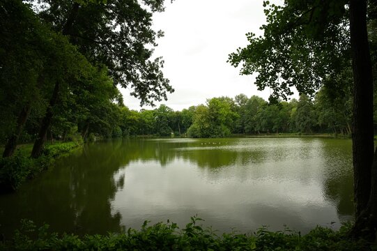 Rasenteich pond near Ohrdruf in Thuringia pond