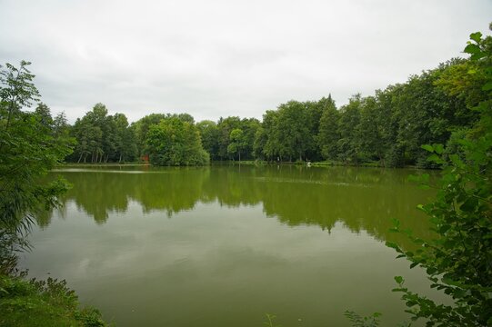 Rasenteich pond near Ohrdruf in Thuringia pond