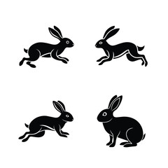 bunny, hare, longears, fluffy, wild, domestic, animal, hopping, rabbitling, cottontail, furry, forest,