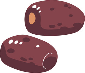 Dates dried fruits vector illustration