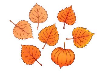 Fototapeta premium Vibrant autumn leaves and a pumpkin, arranged in an artistic display against a deep black background.