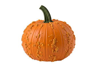 An orange pumpkin with distinctive bumpy texture stands out against a black background.