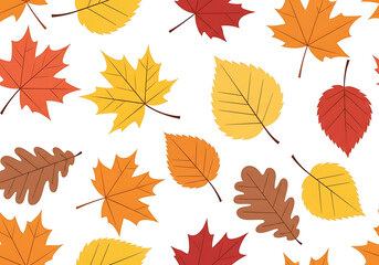 Fototapeta premium A pleasing pattern showcases various autumn leaves in vibrant colors against a dark background.