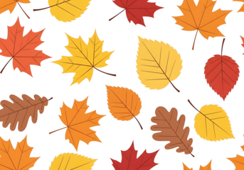 A pleasing pattern showcases various autumn leaves in vibrant colors against a dark background.